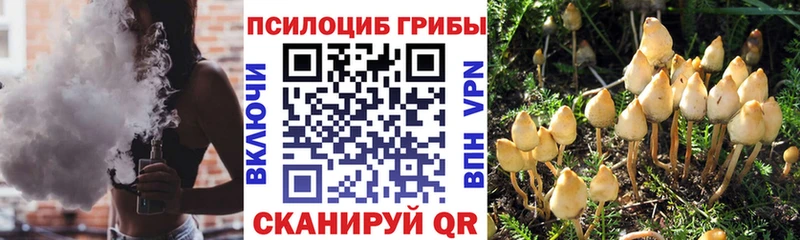 Псилоцибиновые грибы MAGIC MUSHROOMS  Крымск 